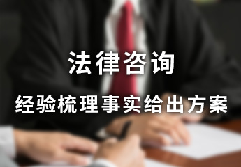 法律咨询项目