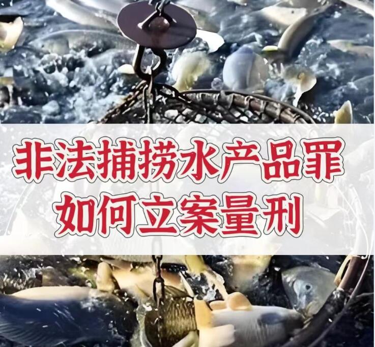 非法捕捞水产品罪｜禁渔期垂钓、电鱼、网捕刑事立案与从轻辩护